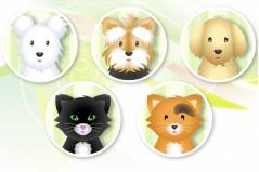 Салон Красоты для Животных - Pet Grooming Studio